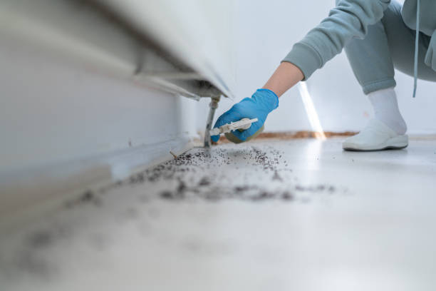 Professional Pest Control in Occoquan, VA